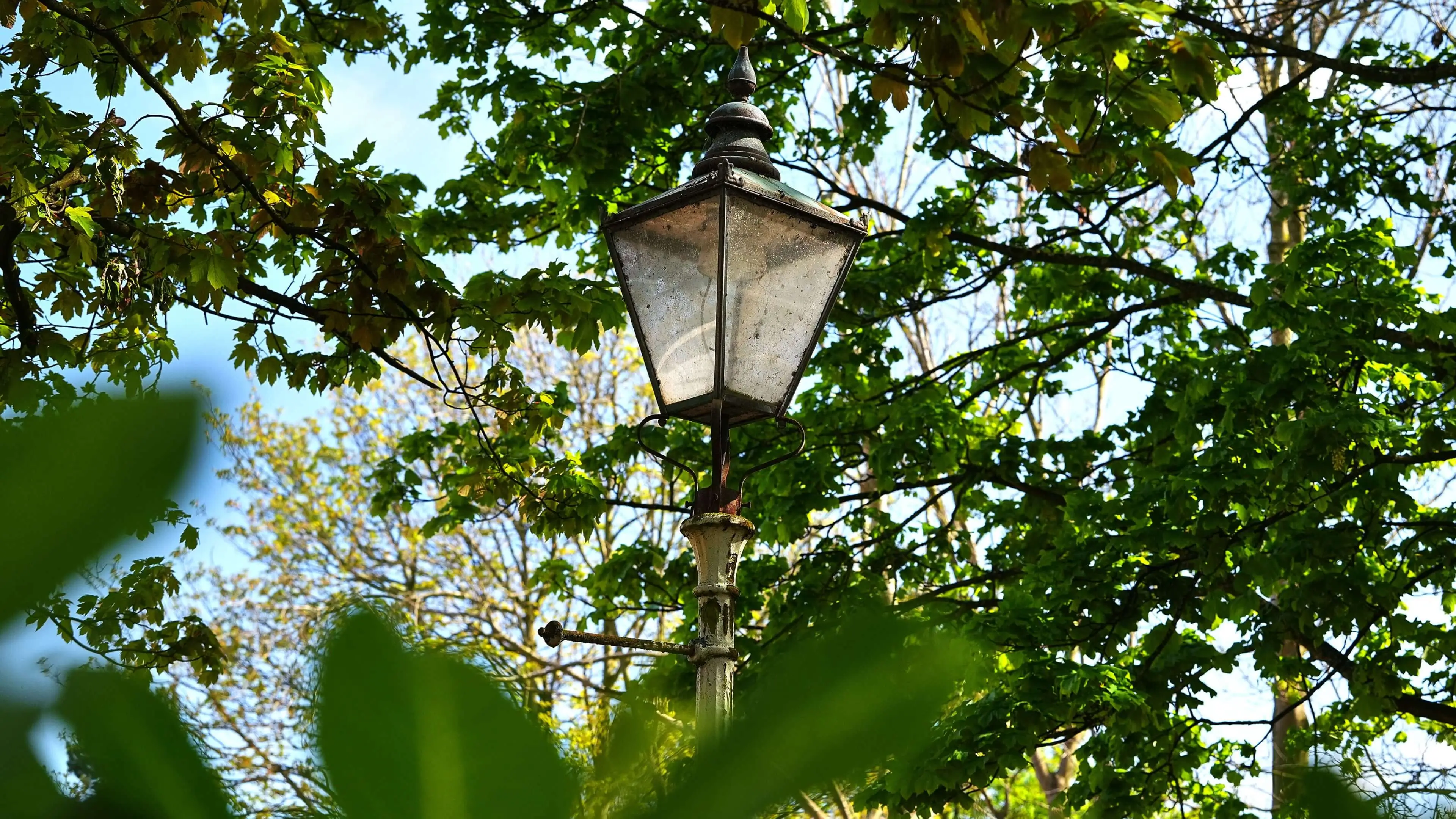 An old Victorian lamppost nestled in some trees